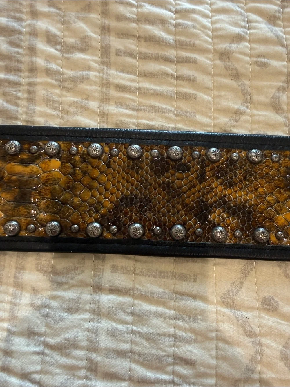 Double J Saddlery Studded Western Belt with Ornate Silver Buckle